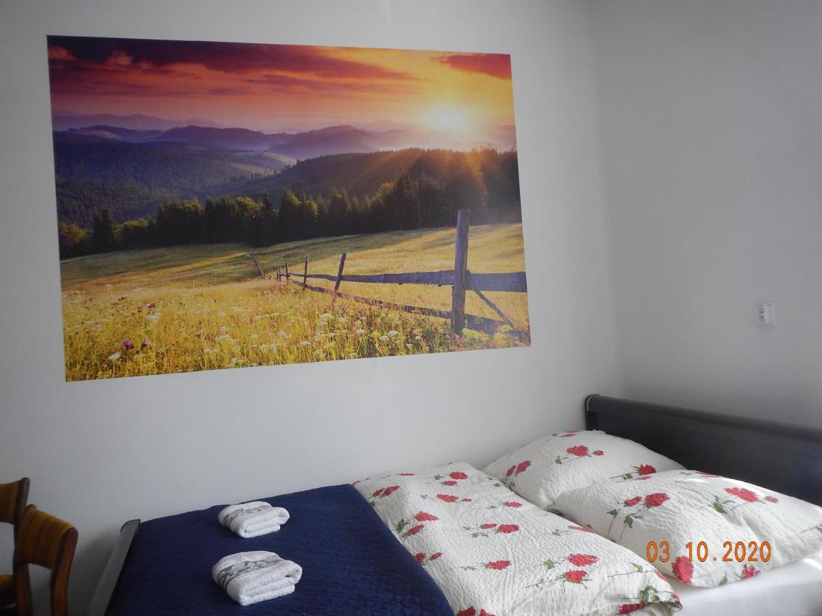 Apartament Providentia Zakopane Witkiewicza 3 외부 사진